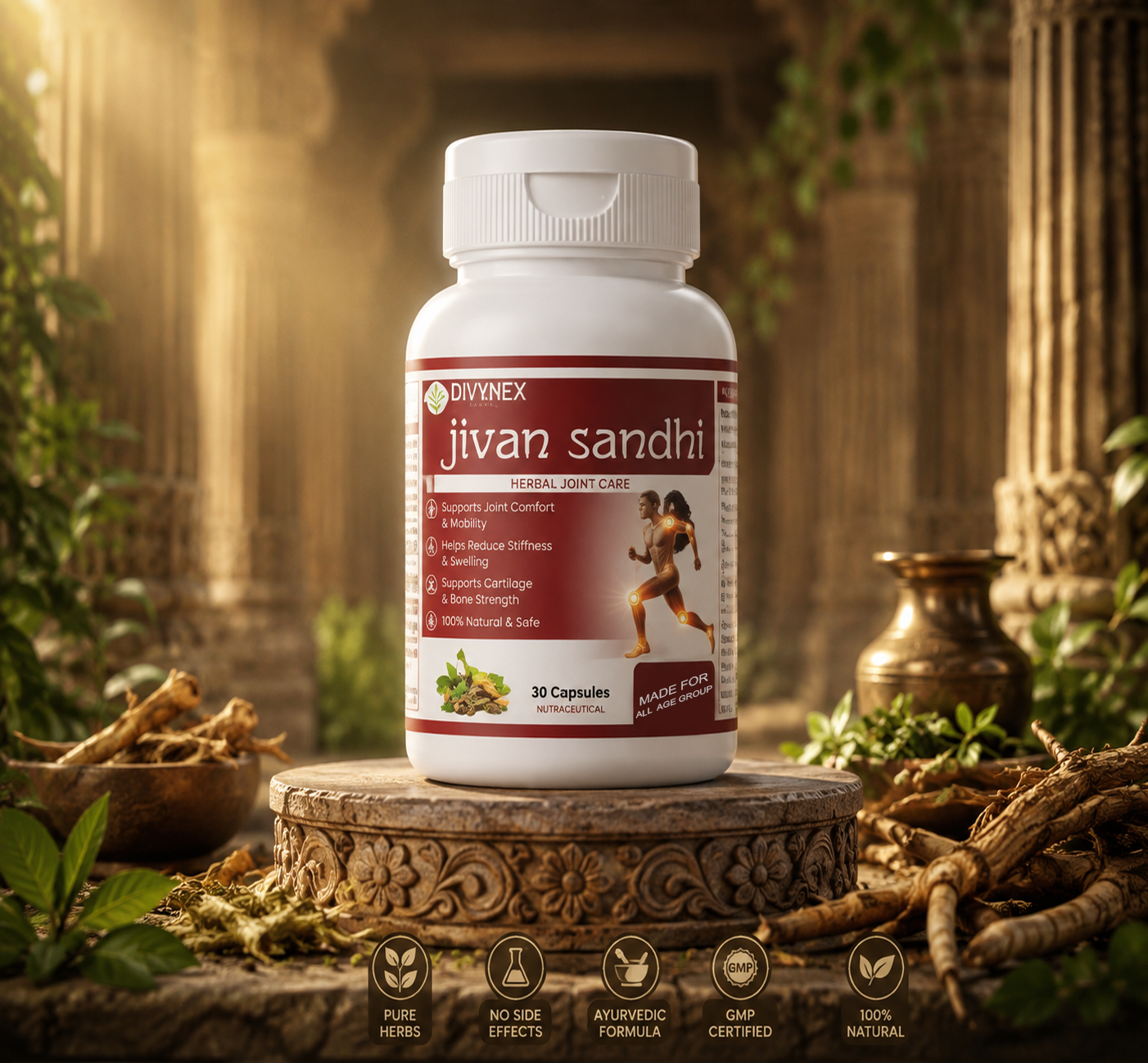 Jivan Sandhi Herbal Joint Care